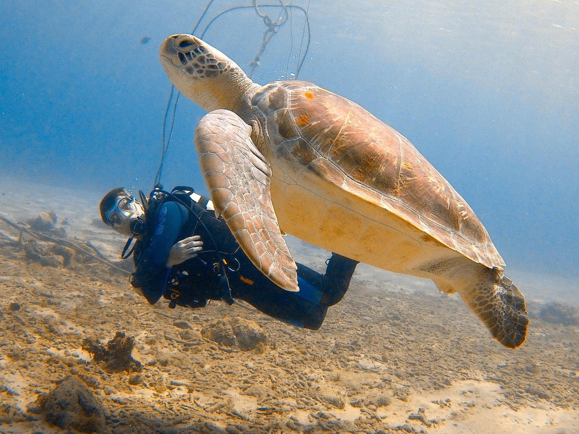Finisterre Curacao Villa Westpunt ภายนอก รูปภาพ