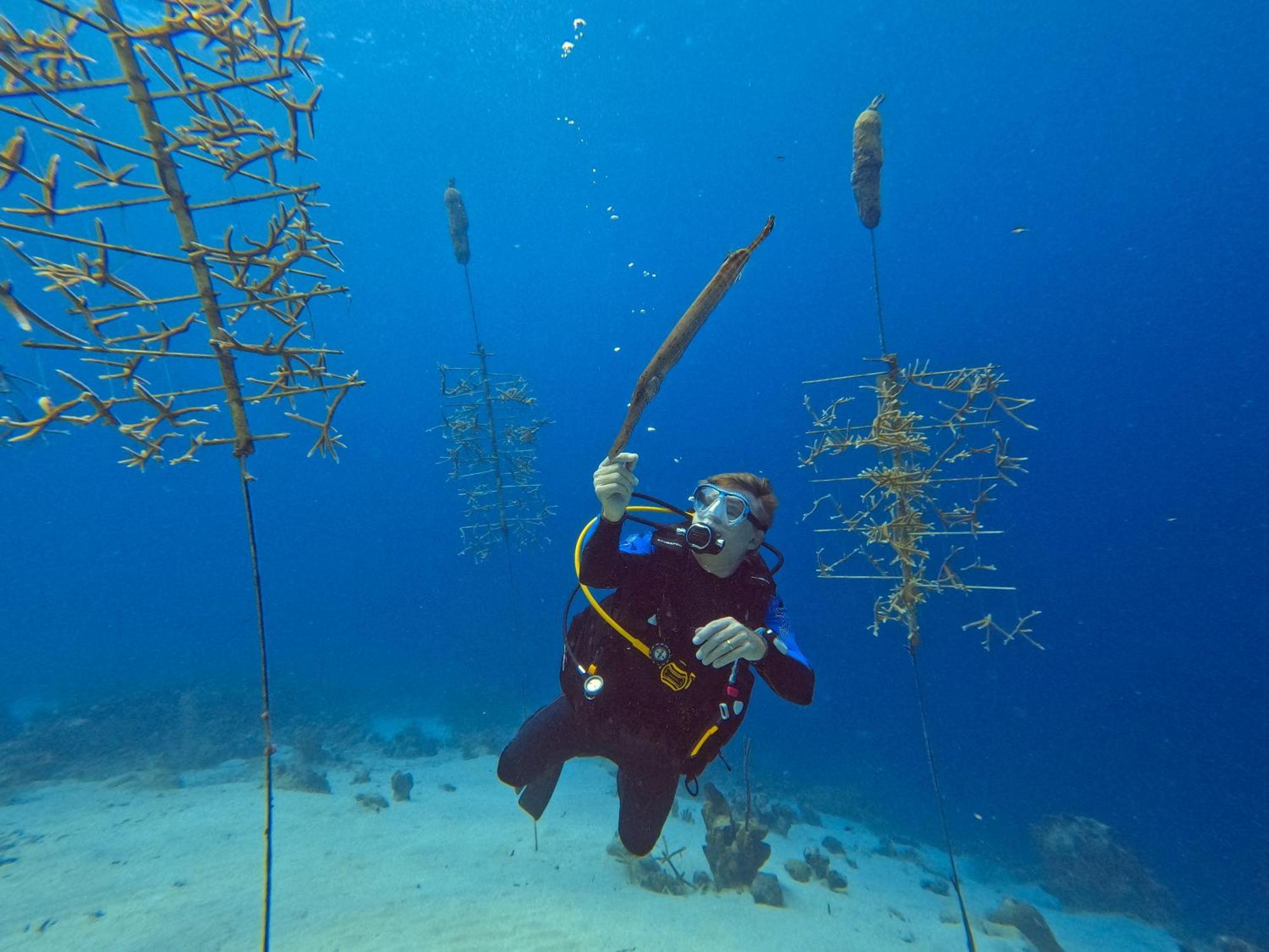 Finisterre Curacao Villa Westpunt ภายนอก รูปภาพ